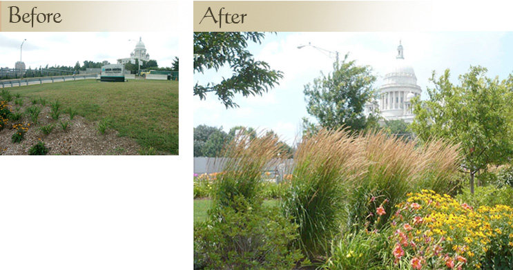 project 1 before after