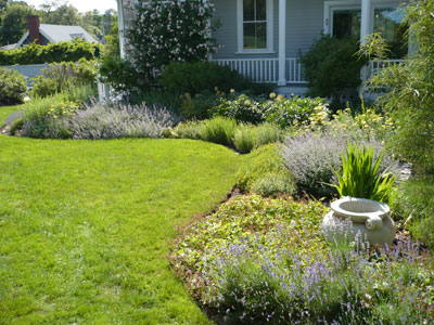 landscape design testimonial