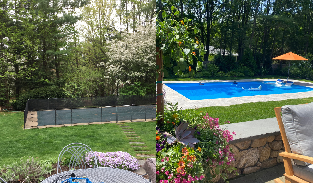 before-after-backyard-pool