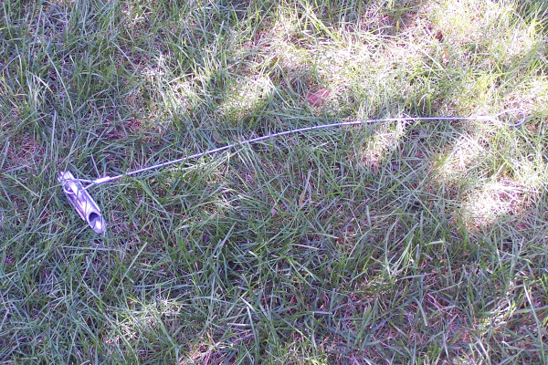 8-30-11_summer_garden_-_nissi_(11)-resized-600