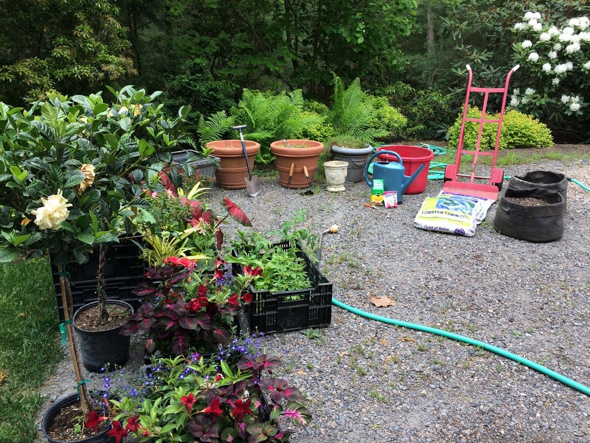 Preparation-for-planting-summer-annuals-in-containers