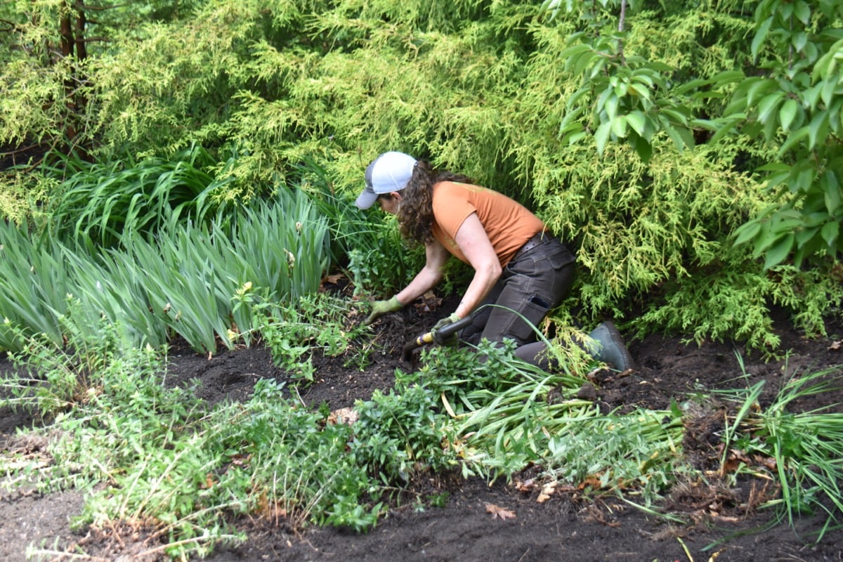 Spring-Gardening-3