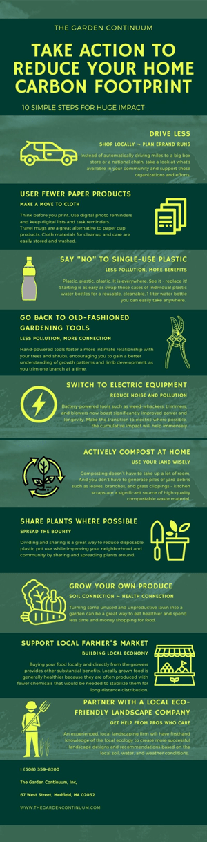 10-steps-infographic