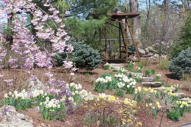 Back-slope-bulb-show-in-early-spring-before-perennials.jpg