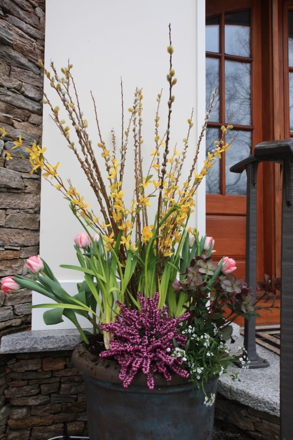 Late March Planter display of color