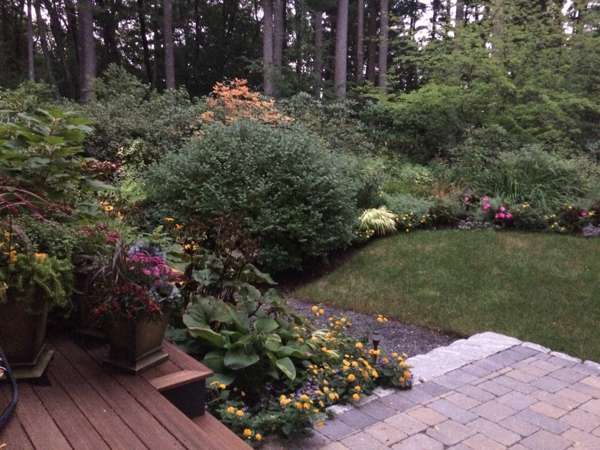 Late-September-fall-planted-containers