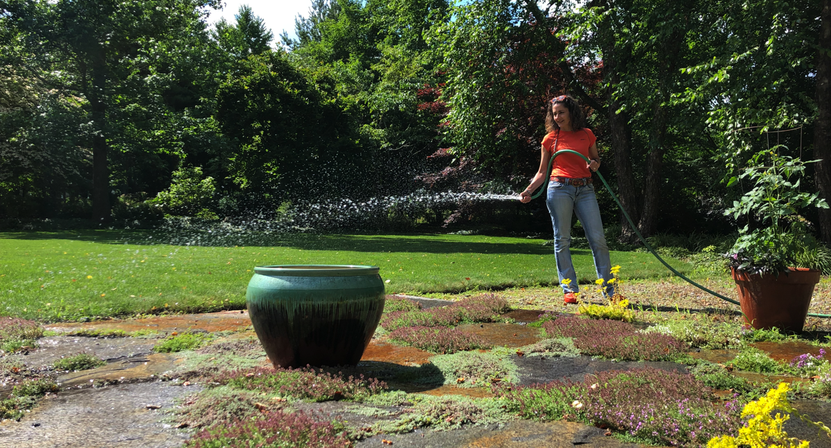 Watering in the fall - why it’s good for your plants