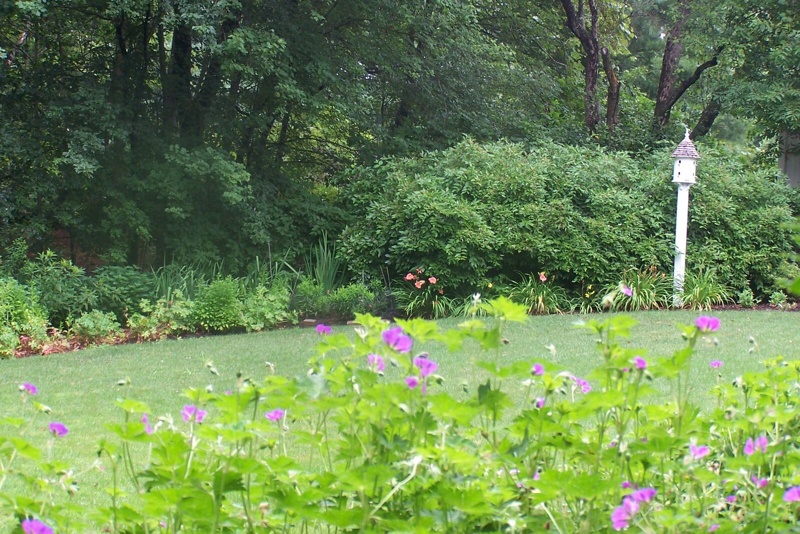 colorful residential wetland replication planting