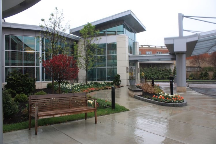 Maintain your commercial landscape for neatness and safety