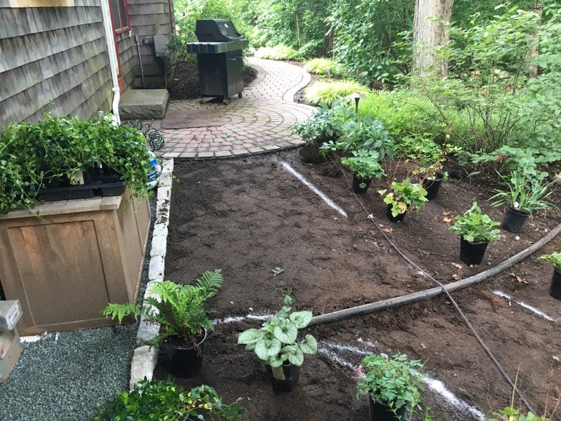 new garden path also