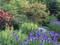 Garden Editing: A great way to re-invigorate your landscape