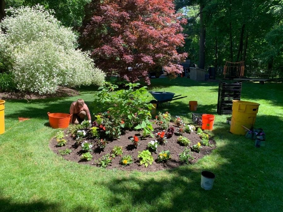 small-annuals-bed