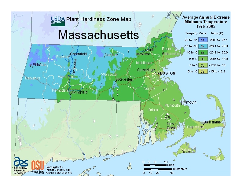 usda hardiness zone map for Massachusetts