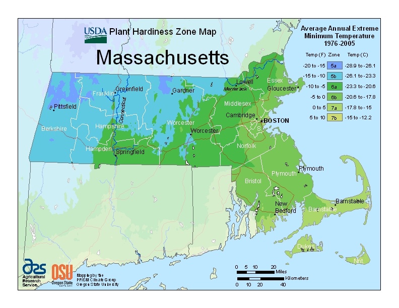 usda hardiness zone map for Massachusetts