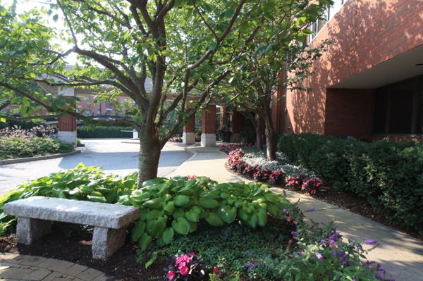 Entryway Outshines Every Other Area of Landscape Entryway Outshines Every Other Area of Landscape