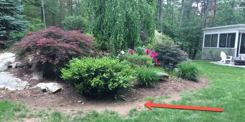 5 Best Money Saving Landscape Tips