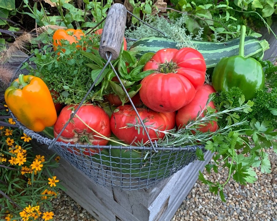 basket-of-produce-from-home-vegetable-garden