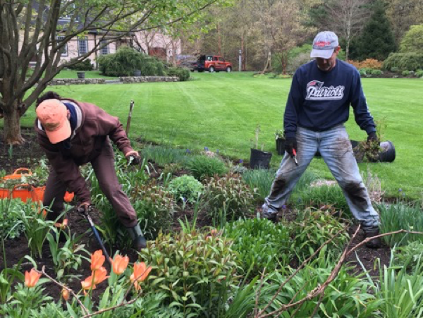 garden-spring-preperation