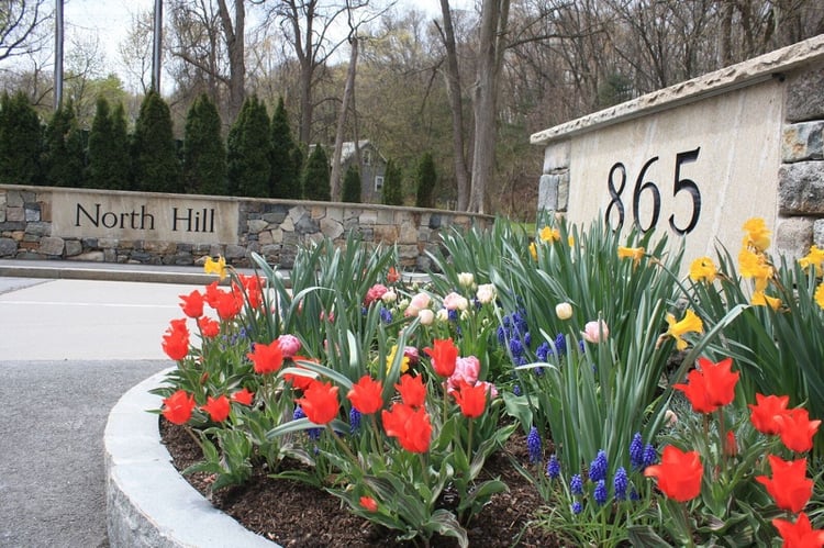 quick guide to commercial landscape investment vs maintenance costs