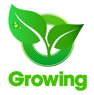 how-to-grow-landscape-business