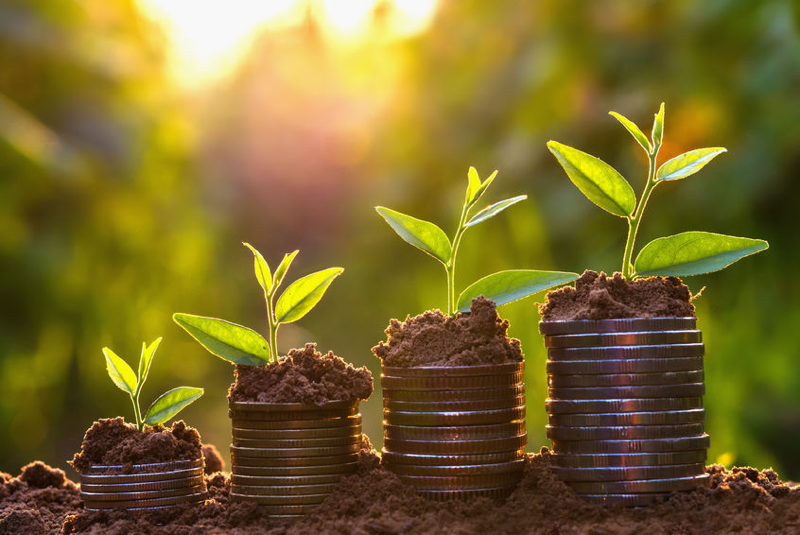 landscape-business-building-opportunity