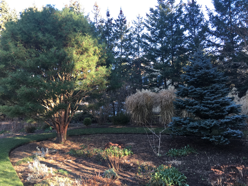 Fall cleanup: What to do with all the leaves?