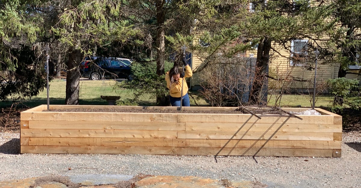 setting-up-new-veggie-boxes-for-spring-planting