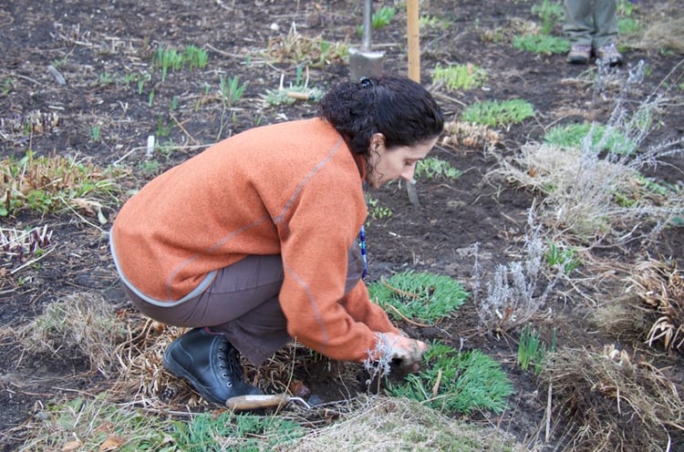 tips-for-busy-homeowners-how-to-have-well-tended-landscape.jpg
