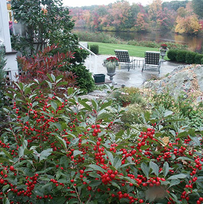 The Garden Continuum - Medfield MA Landscape Design and Build Company