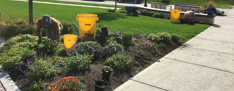 Baseline fine gardening care items