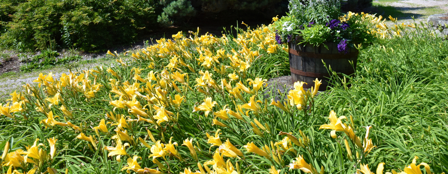 elements of an effective fine gardening program