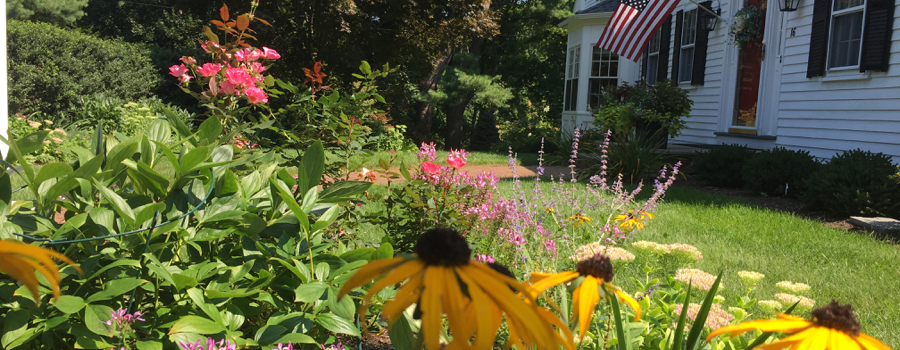 How Much Space Do You Need For a Vegetable Garden? - FineGardening