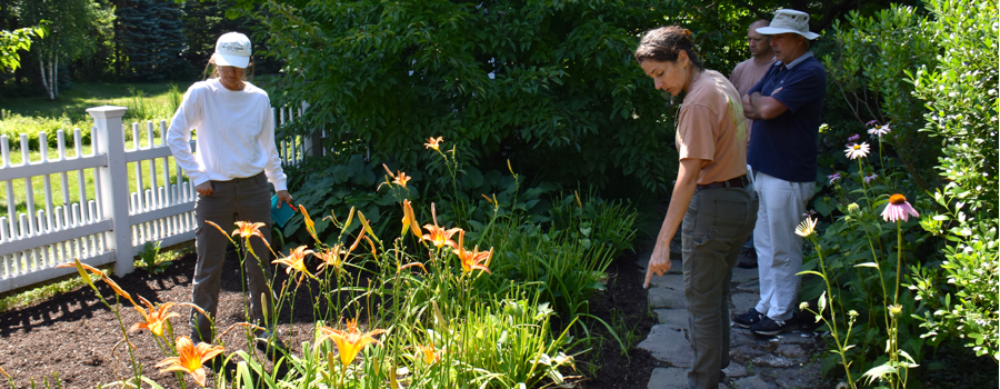 fine gardening special projects