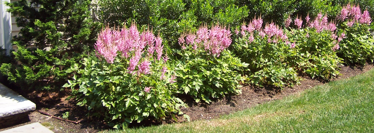 consider-your-capabilities-when-planning-a-landscape-project