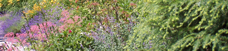 estimate-your-landscape-project-accurately