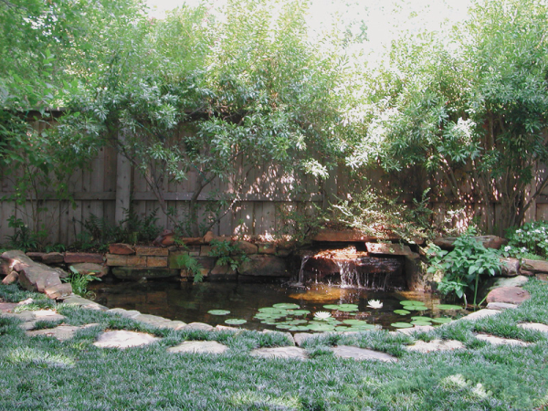 bonick-fence-pond-garden-dallas-texas-resized-600