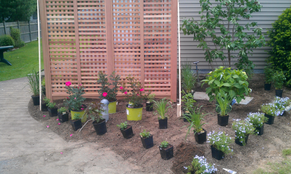 05-25-2011_plant_install_-_pomerantz-resized-600