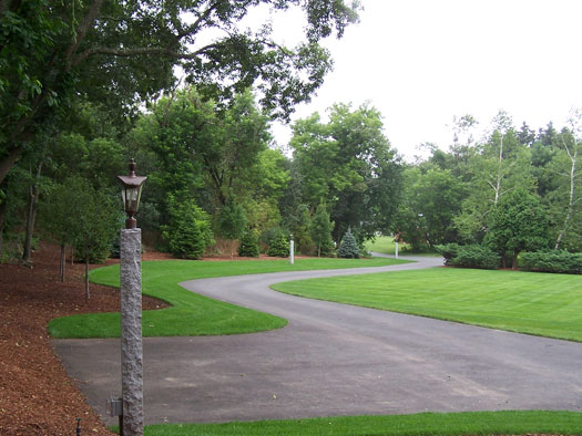 Landscaping Driveways
