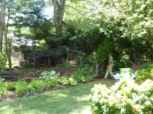7-14-11_garden-renovation-planting_-_Croce010-resized-600-med_