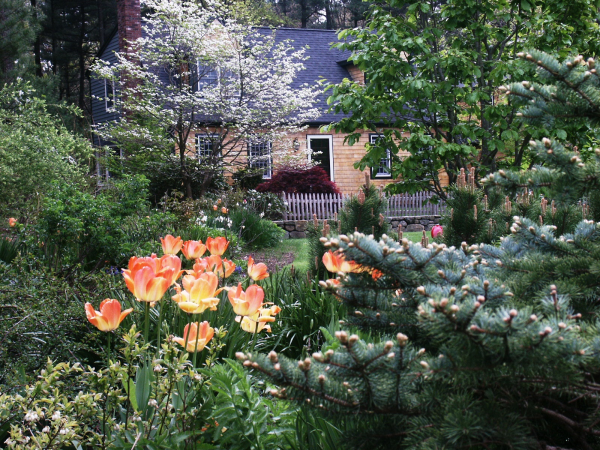 Sustainability in the Garden