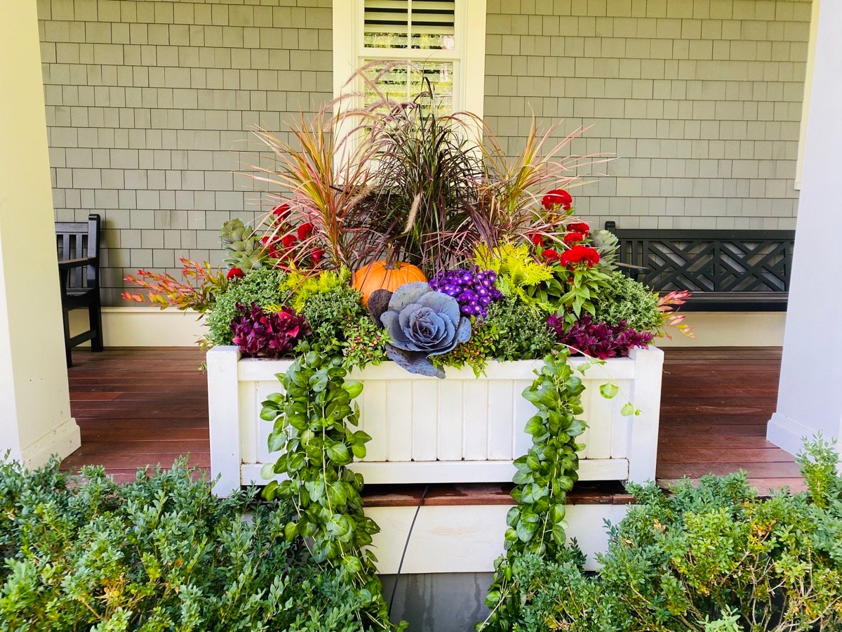 Container Garden Design Tips For Arranging Plants In Pots