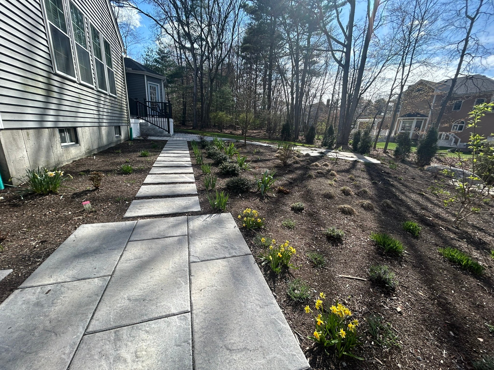 Spring Garden Care in Medfield, MA: What to Do After Winter Damage