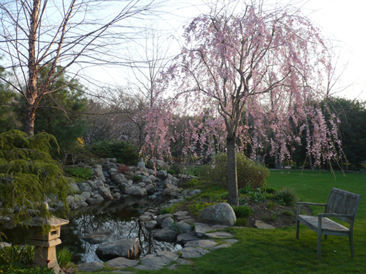 Garden Ponds