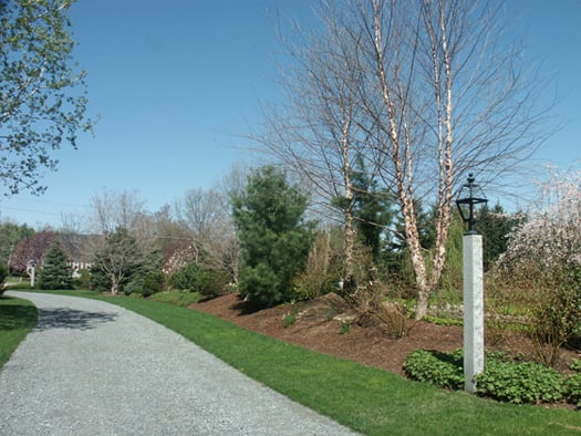 Landscaping Driveways