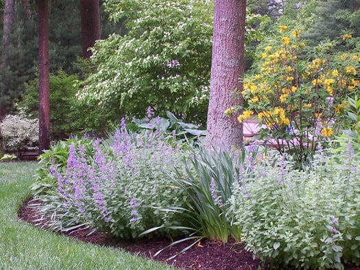 Perennial Landscaping Ideas