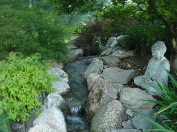 Can a Garden Be a Place of Healing?