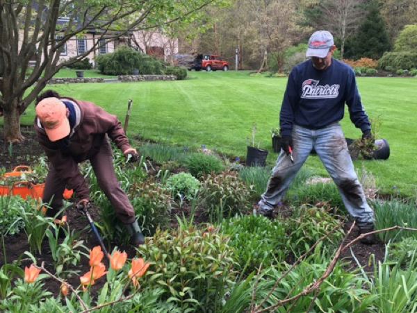 How to Renovate Perennial Gardens - Video