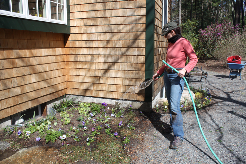 Watering in the fall - why it’s good for your plants