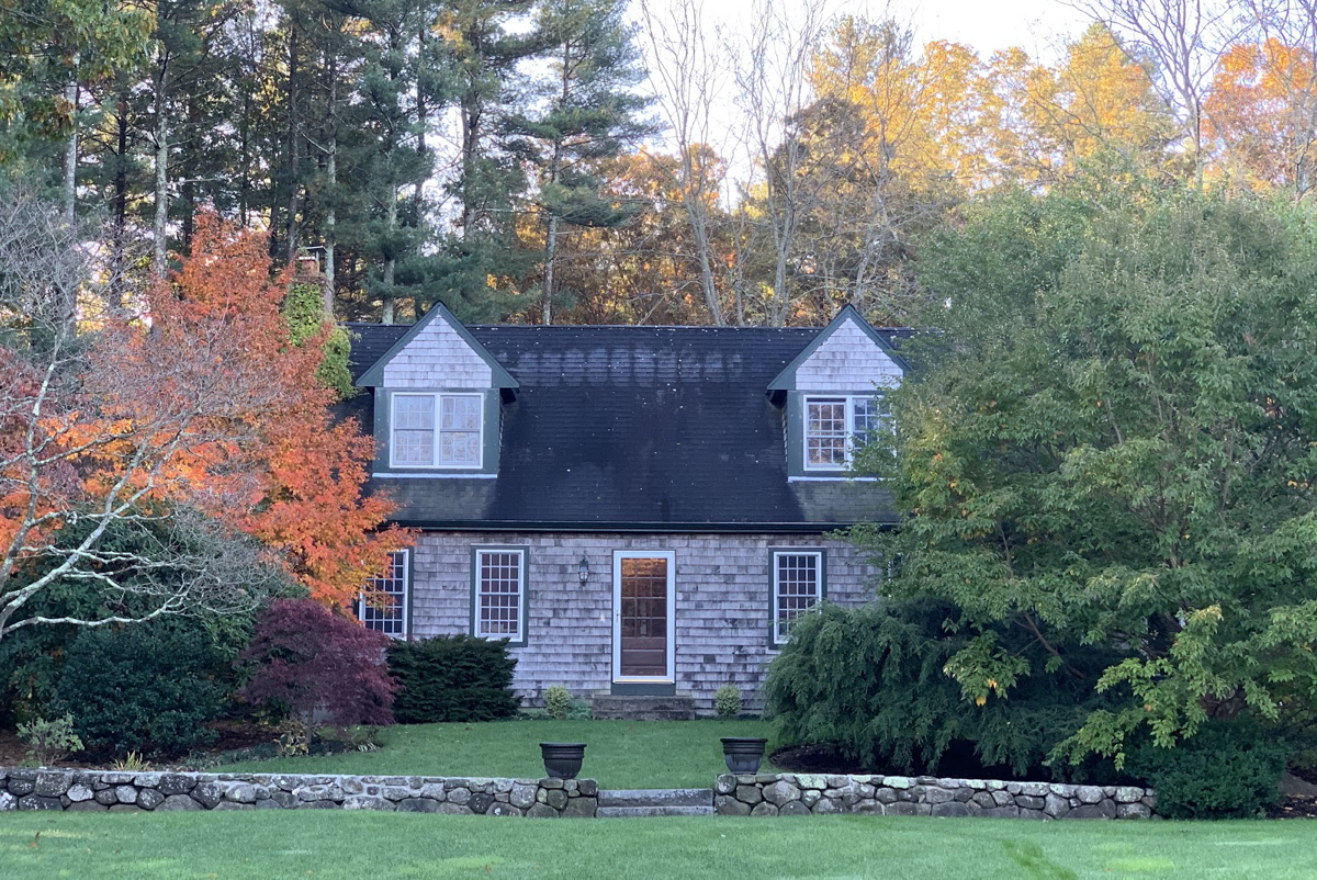 Fall cleanup: What to do with all the leaves?