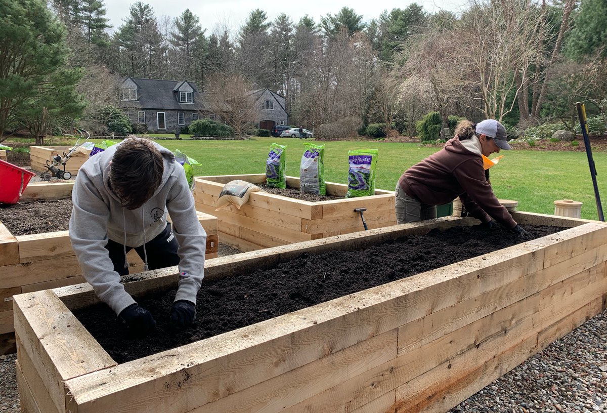 Why now is the time to create a home vegetable garden